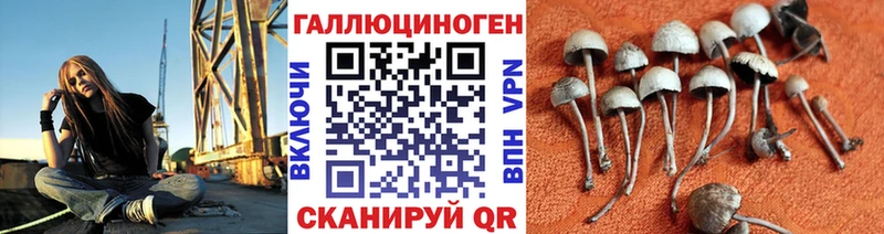 Псилоцибиновые грибы Psilocybe как найти Южа
